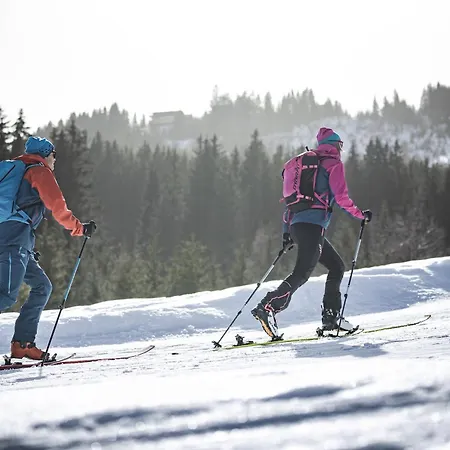 Апартаменты Bergliebe - Sommerkarte Zell Am Inkludiert Капрун