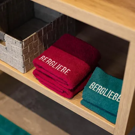 Bergliebe - Sommerkarte Zell Am Inkludiert Апартаменты *